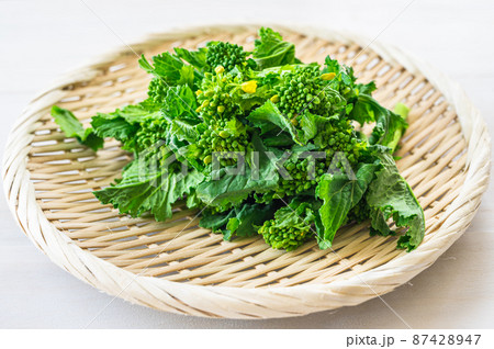 食用菜の花 87428947