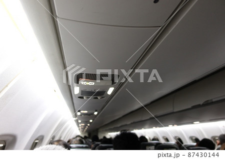 台湾 馬具 ハーネス 87430144