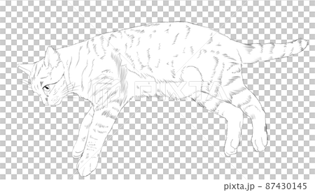 Illustration monochrome of a lying cat 87430145