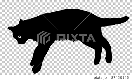 Illustration of cat silhouette 87430146