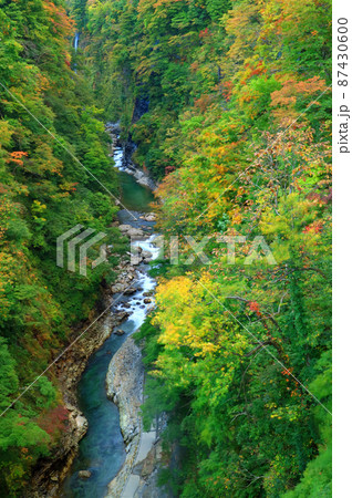 秋田県の小安峡の紅葉の渓谷 87430600
