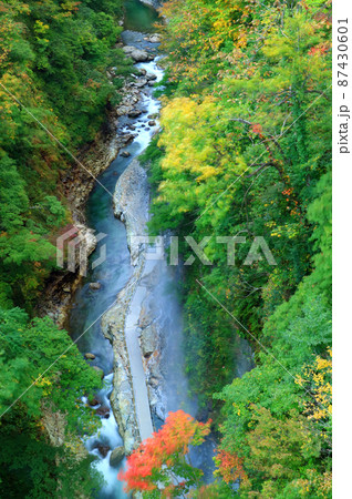 秋田県湯沢市の小安峡の紅葉の渓谷 87430601