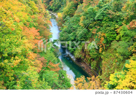 秋田県湯沢市の小安峡の紅葉の渓谷 秋田県湯沢市の小安峡の紅葉の渓谷 87430604