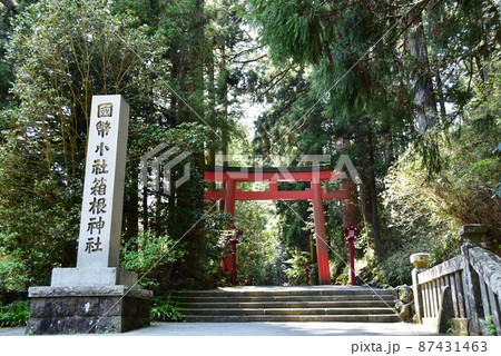 箱根町 箱根神社参道入口の第三鳥居と新緑と石柱 箱根町 箱根神社参道入口の第三鳥居と新緑と石柱 87431463