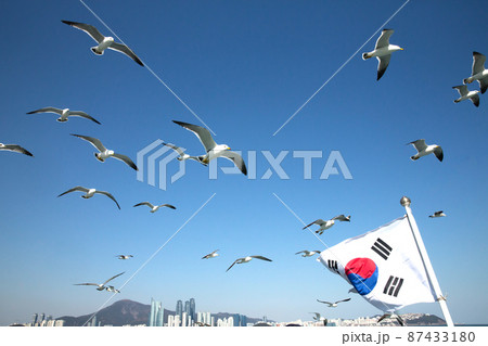 カモメ 太極旗 新しい 87433180