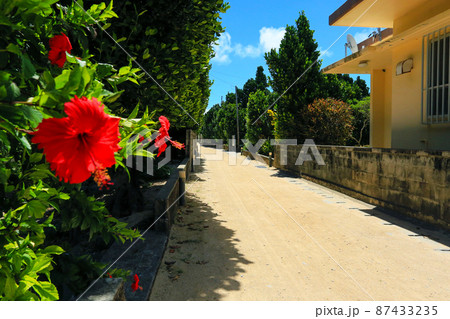 沖縄　渡名喜島の風景　ハイビスカス 87433235