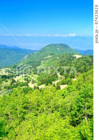 夏の山田牧場 夏の山田牧場 87433628