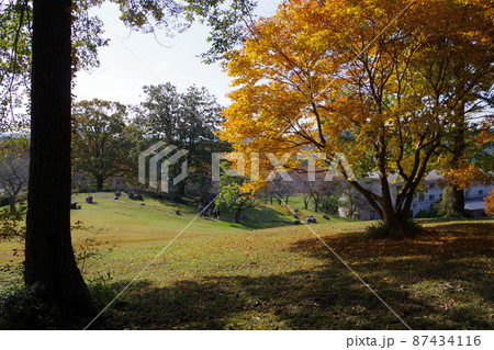休暇村帝釈峡の裏山公園の紅葉の景色 休暇村帝釈峡の裏山公園の紅葉の景色 87434116