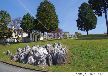 休暇村帝釈峡の立ち木の景色 87434136