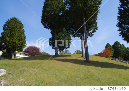 休暇村帝釈峡の立ち木の景色 87434140