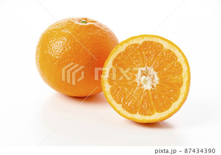 いよかん イヨカン 伊予柑 87434390