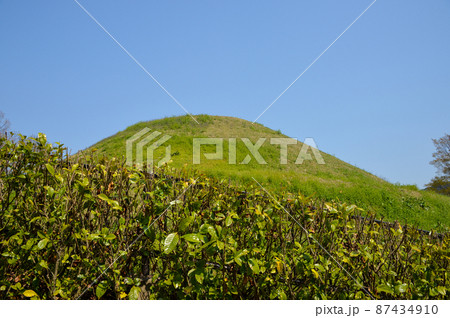 国営飛鳥歴史公園　高松塚古墳  87434910