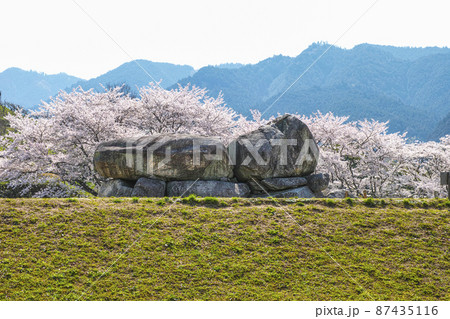 国営飛鳥歴史公園石舞台地区　石舞台古墳と桜 87435116
