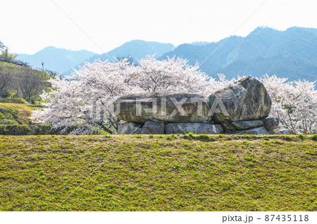国営飛鳥歴史公園石舞台地区　石舞台古墳と桜 87435118