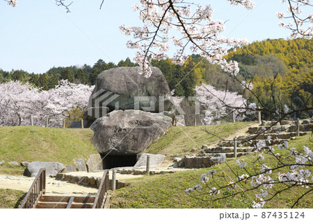 国営飛鳥歴史公園「石舞台地区」に咲く桜 87435124