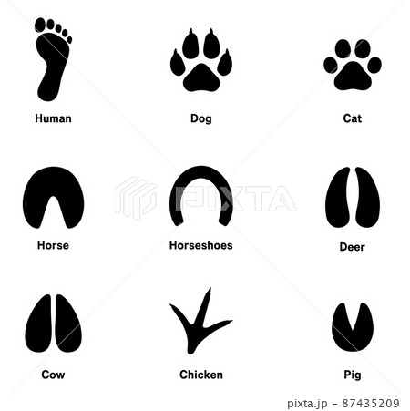 動物の足跡アイコンセット 87435209