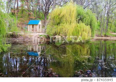 View of the Krasnokutsk park, Kharkiv region, Ukraine View of the Krasnokutsk park, Kharkiv region, Ukraine 87435945