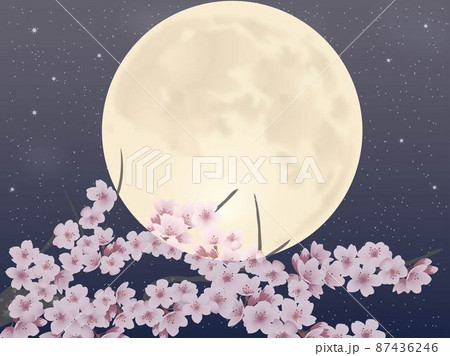 桜と月と星・横のイラスト素材 [87436246] - PIXTA