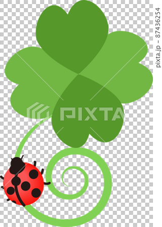 三葉草和瓢蟲 87436254