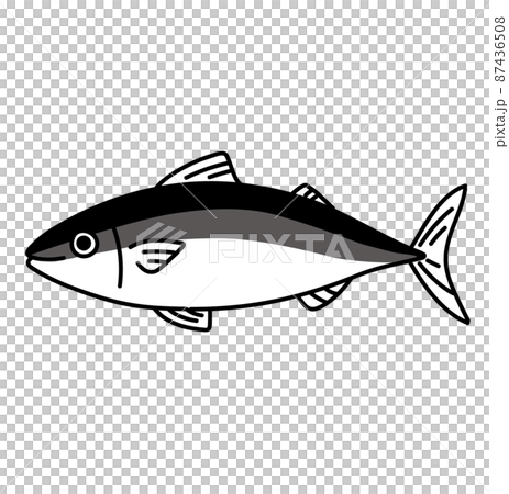 黑白魚的單色插圖 黑白魚的單色插圖 87436508