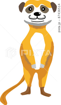 立っているかわいいミーアキャットのイラスト 87436514