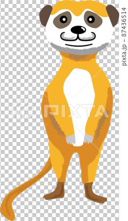 立っているかわいいミーアキャットのイラスト 87436514