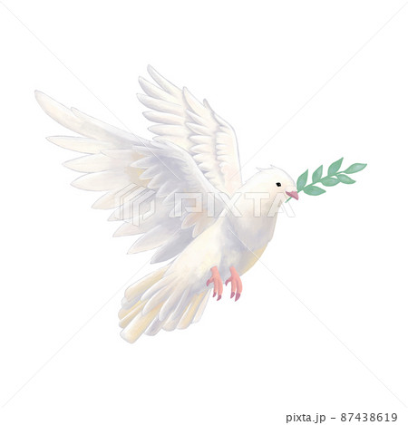 リアル調 オリーブの枝を咥えた飛んでいる白い鳩 ラスター素材のイラスト素材