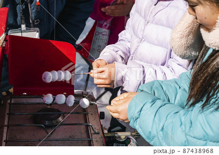 キャンプで焼きマシュマロを作る子供たち キャンプで焼きマシュマロを作る子供たち 87438968