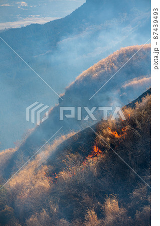 春の風物詩阿蘇の野焼き風景 春の風物詩阿蘇の野焼き風景 87439493