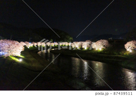 みなみの桜と菜の花まつりライトアップ みなみの桜と菜の花まつりライトアップ 87439511