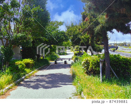 鵠沼海岸引地川沿いの遊歩道 87439881