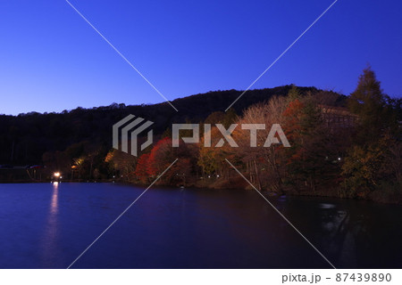茶臼山高原の紅葉（愛知県） 87439890