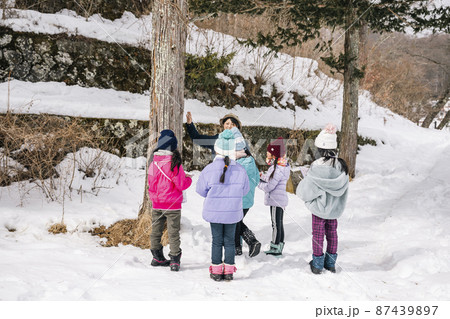 自然環境を学ぶ野外活動中の小学生のグループ SDGsへの取り組みを学ぶ 自然環境を学ぶ野外活動中の小学生のグループ SDGsへの取り組みを学ぶ 87439897