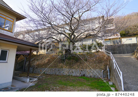 【廃校】笠岡市立大島東小学校の風景2　岡山県笠岡市 87440248