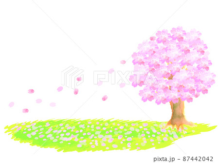 水彩の桜の木と草原に舞う花びら 87442042