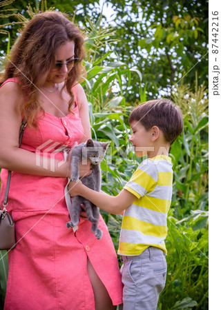 Asian mother and her son playing with cat in the park 87442216