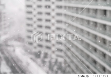 東京　雪景色 87442394