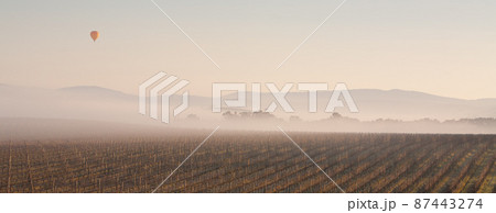 Ballooning in the Morning Ballooning in the Morning 87443274