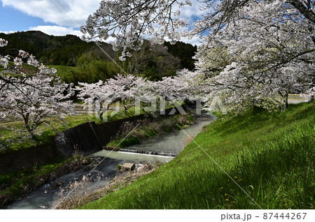春の丹波篠山 87444267
