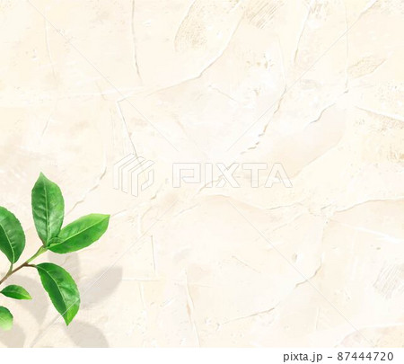 植物とアンティークな左官仕上げの塗り後のある漆喰のオフホワイトのおしゃれ壁紙背景素材のイラスト素材