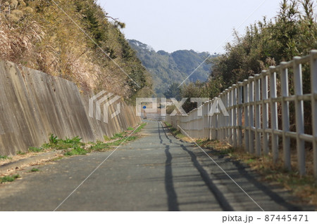 太平洋自転車道 87445471