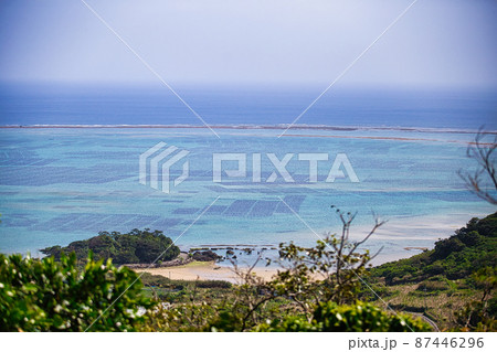 もずくの養殖 87446296