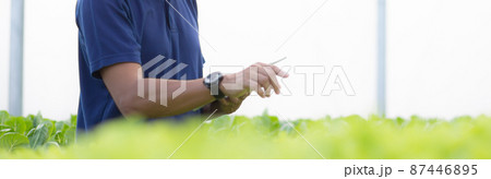 Young asian man examining vegetables lettuce with tablet computer in hydroponic farm. 87446895