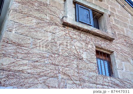 趣きある石造りの壁面 87447031