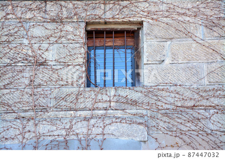 趣きある石造りの壁面 87447032