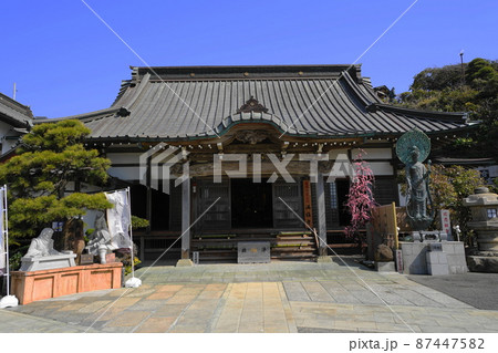 3月 鎌倉1305満福寺・源義経ゆかりの地 3月 鎌倉1305満福寺・源義経ゆかりの地 87447582