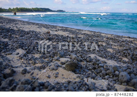 軽石 奄美大島に流れ着いた軽石 福徳岡ノ場 噴火 海底火山 軽石 奄美大島に流れ着いた軽石 福徳岡ノ場 噴火 海底火山 87448282