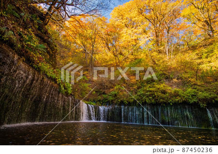 日本有数のリゾート地 軽井沢の秋 紅葉の白糸の滝 日本有数のリゾート地 軽井沢の秋 紅葉の白糸の滝 87450236