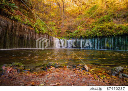 日本有数のリゾート地 軽井沢の秋 紅葉の白糸の滝 日本有数のリゾート地 軽井沢の秋 紅葉の白糸の滝 87450237