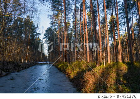 River flowing through forests and groves in golden time 87451276